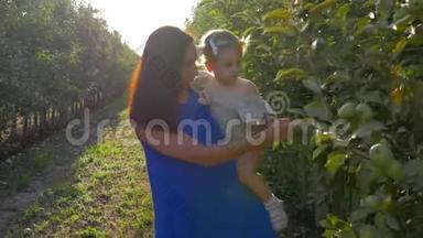 园艺，微笑的农村妇女与蹒跚学步的女孩抱着在<strong>水果园</strong>收集苹果在收获季节。
